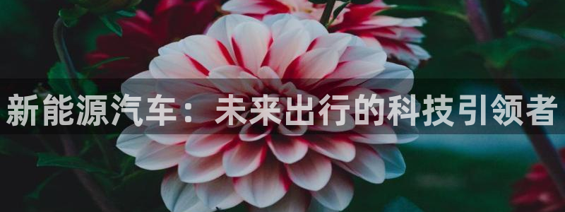 球盟会黑款吗是真的吗:新能源汽车:未来出行的科技引领者