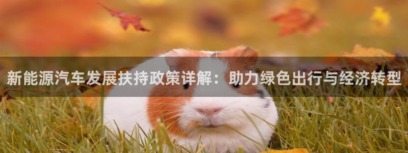 球盟会可以提现么是真的吗:新能源汽车发展扶持政策详解:助力绿