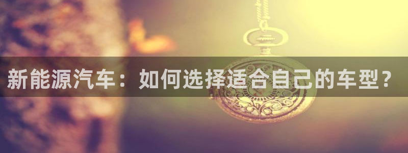 球盟会黑款吗还是白款:新能源汽车:如何选择适合自己的车型?