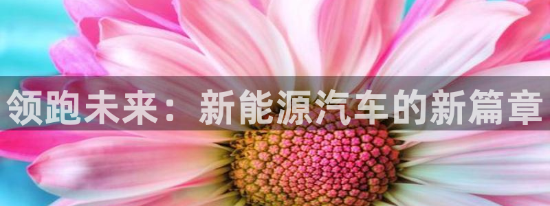 球盟会国际官网