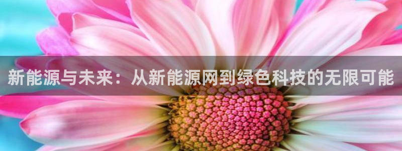 球盟会官网app下载