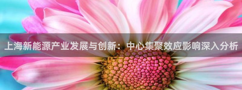 球盟会能提现吗