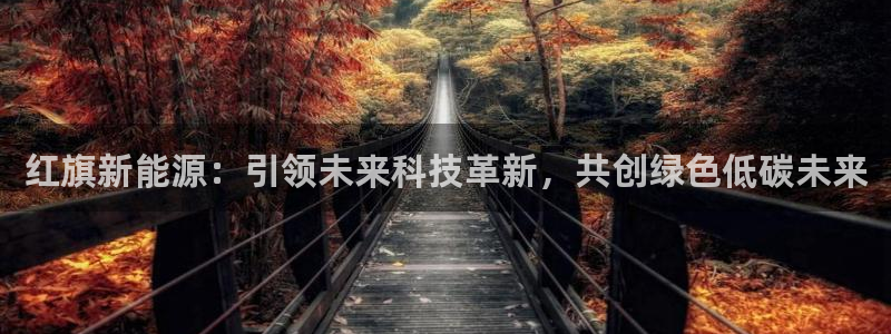 球盟会可以提现么是真的吗：红旗新能源：引