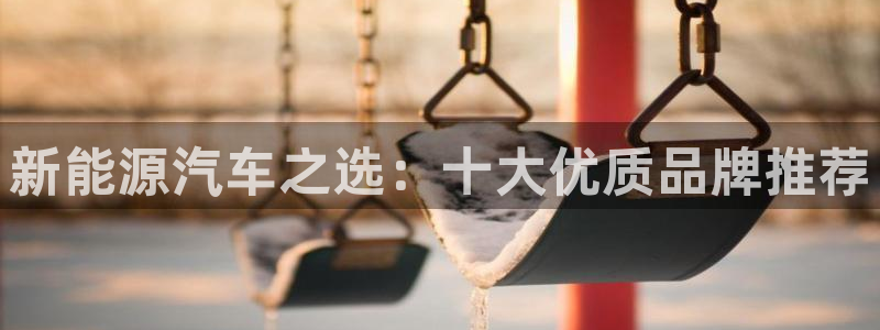 球盟会有没有黑单的活动：新能源汽车之选：