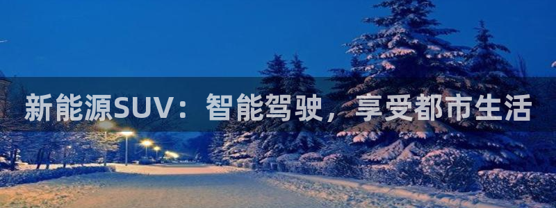 球盟会app入口：新能源SUV：智能驾驶