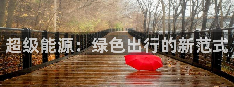 球盟会黑