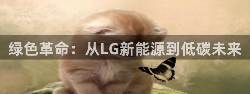 球盟会可以提现么是真的吗