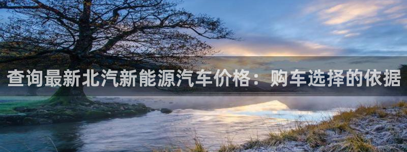 球盟会黑台：查询最新北汽新能源汽车价格：