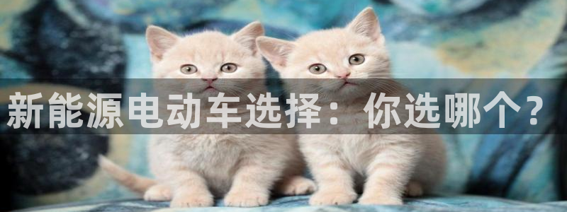 球盟会app最新地址下载：新能源电动车选