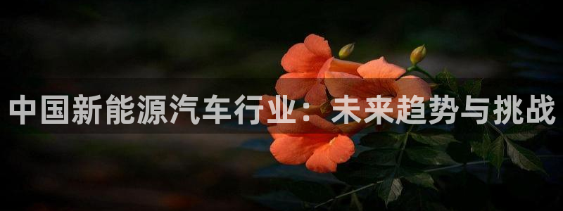 千亿球盟会