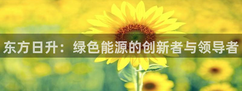 球盟会在线登入