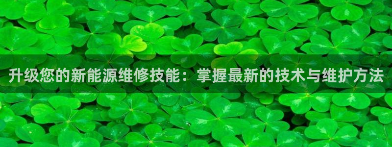 球盟会进不去球员吗