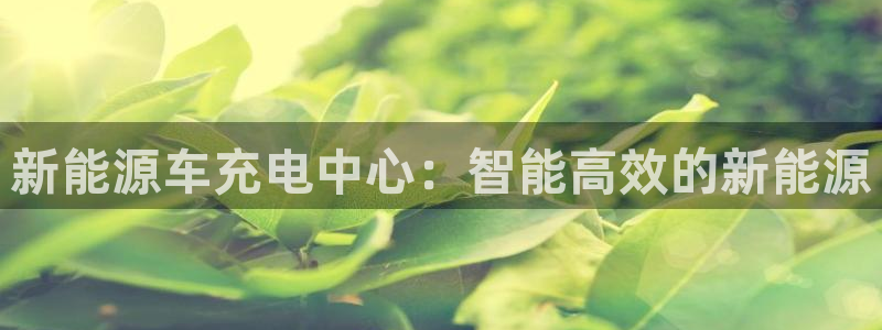 球盟会app网址多少号