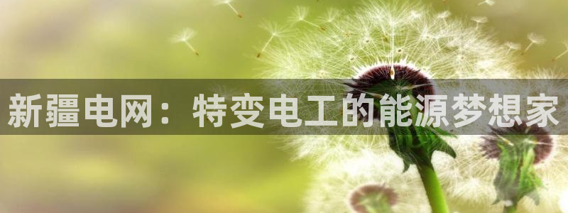 球盟会官方网站