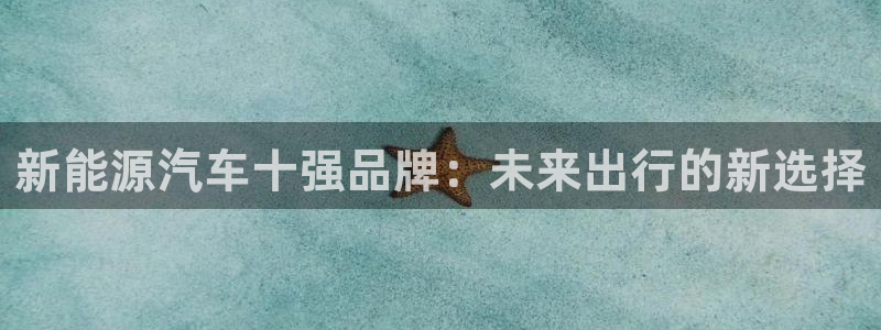 球盟会网页登录：新能源汽车十强品牌：未来