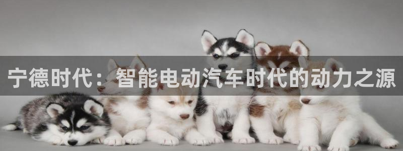 球盟会有没有黑单的人：宁德时代：智能电动