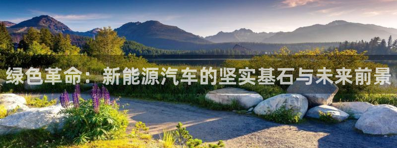 球盟会官网app下载：绿色革命：新能源汽
