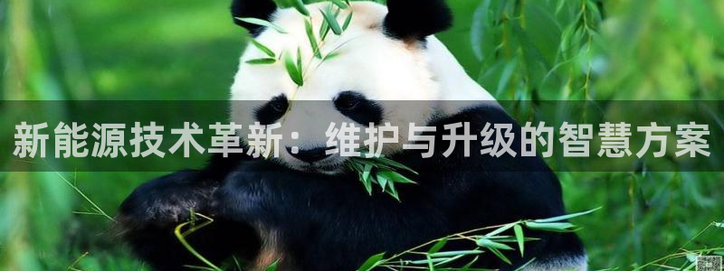 球盟会官网app下载