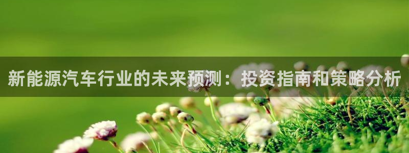 球盟会电子游戏平台