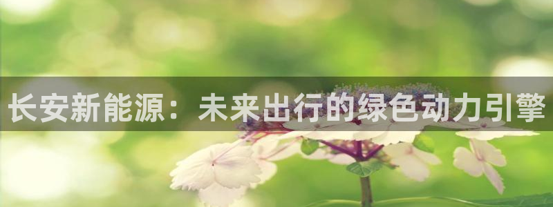 球盟会游戏几点玩合适