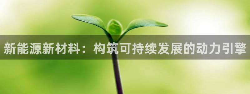 球盟会进不去