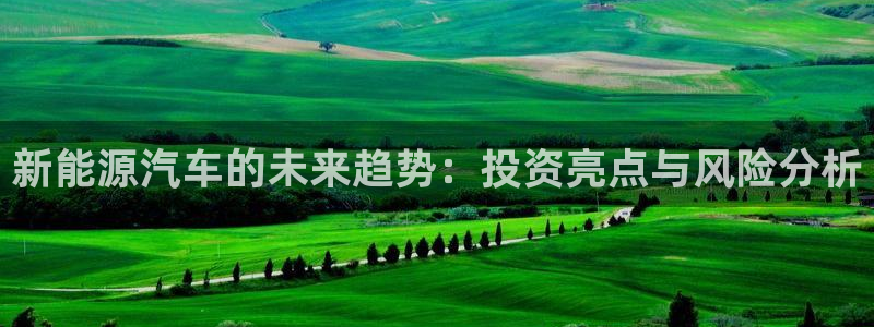 球盟会体验金球奖吗：新能源汽车的未来趋势