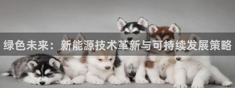球盟会官网：绿色未来：新能源技术革新与可