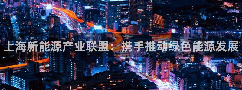 球盟会官方网入口：上海新能源产业联盟：携