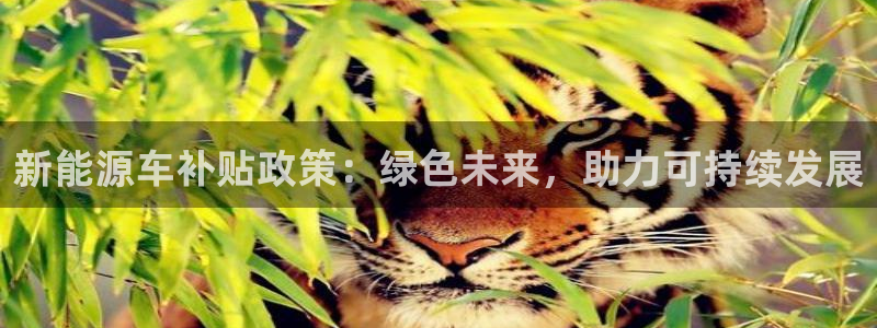 球盟会地址