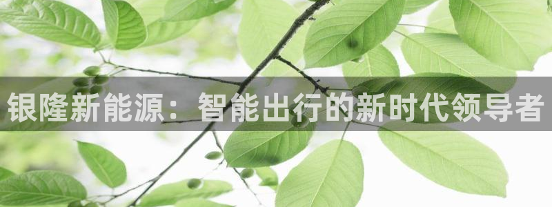 球盟会黑钱