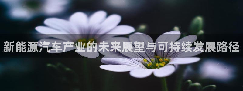 球盟会官方下载:新能源汽车产业的未来展望与可持续发展路径