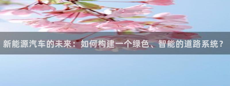 球盟会官网网页版：新能源汽车的未来：如何