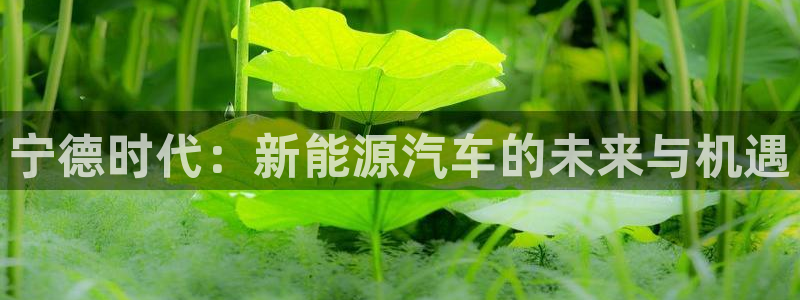 球盟会电子好黑：宁德时代：新能源汽车的未
