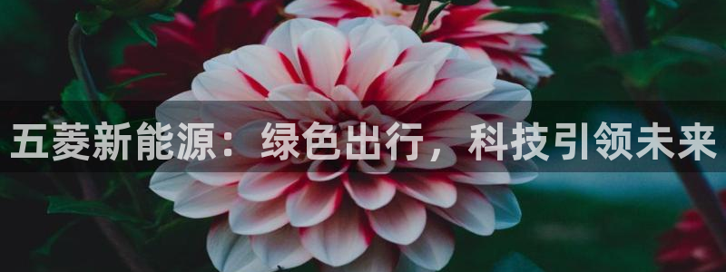 千亿球盟会:五菱新能源:绿色出行,科技引领未来