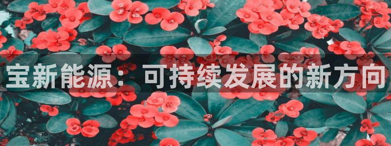 球盟会可以提现么现在:宝新能源:可持续发展的新方向