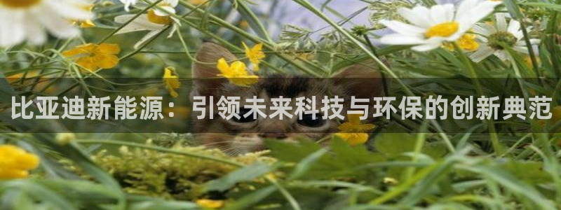 球盟会官方:比亚迪新能源:引领未来科技与环保的创新典范