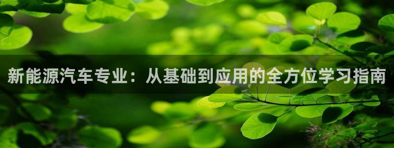 球盟会入口:新能源汽车专业:从基础到应用的全方位学习指南
