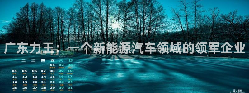 球盟会进不去球员吗:广东力王:一个新能源汽车领域的领军企业
