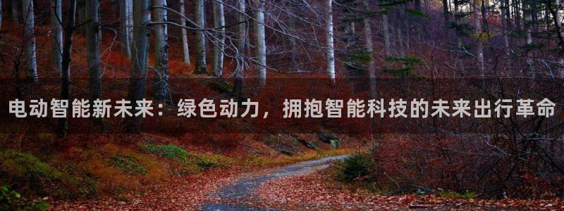 球盟会体育app官方网站