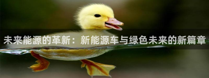 球盟会登录平台入口:未来能源的革新:新能源车与绿色未来的新篇