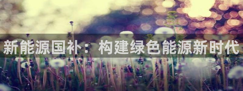 球盟会用的客服聊天是哪个软件:新能源国补:构建绿色能源新时代