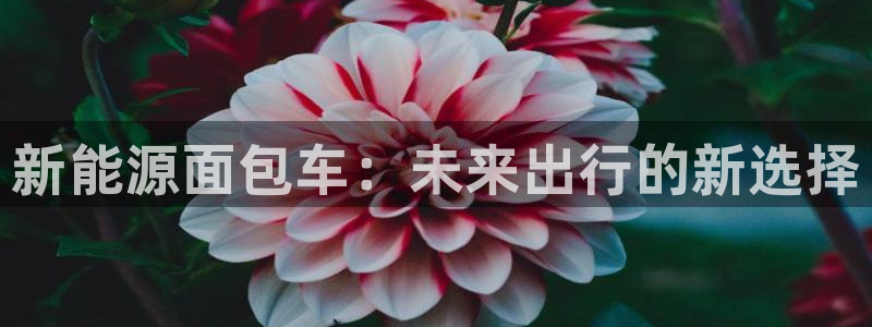 球盟会福利码2023最简单三个步骤:新能源面包车:未来出行的