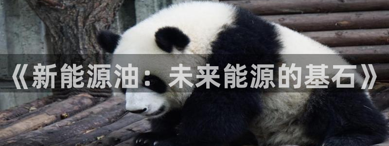 球盟会游戏:《新能源油:未来能源的基石》