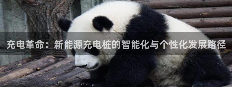 球盟会官网登录入口:充电革命:新能源充电桩的智能化与个性化发