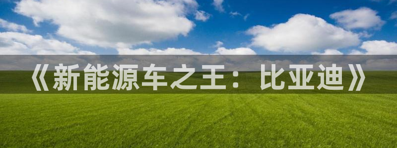 球盟会有没有黑单的:《新能源车之王:比亚迪》