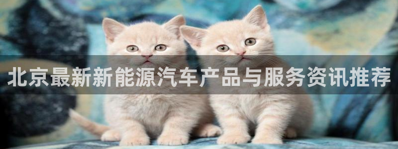 球盟会在线网站:北京最新新能源汽车产品与服务资讯推荐