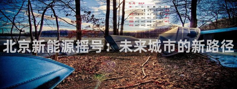 球盟会官网入口：北京新能源摇号：未来城市