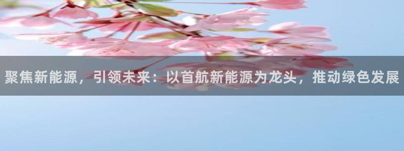 球盟会登陆:聚焦新能源,引领未来:以首航新能源为龙头,推动绿