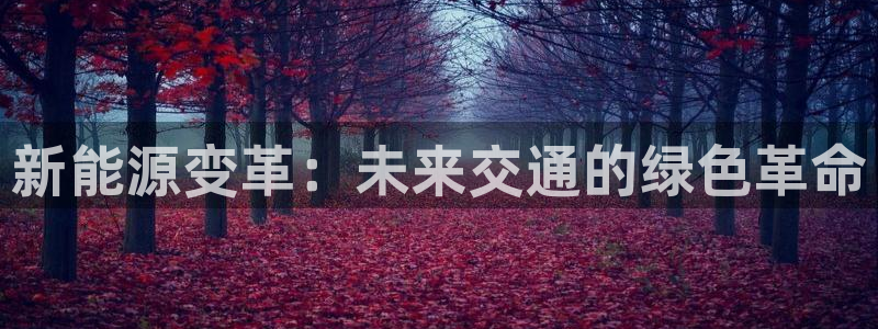 球盟会黑嘛：新能源变革：未来交通的绿色革