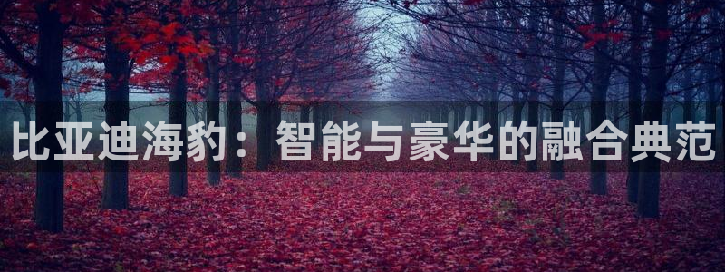 球盟会里面有打牌的嘛